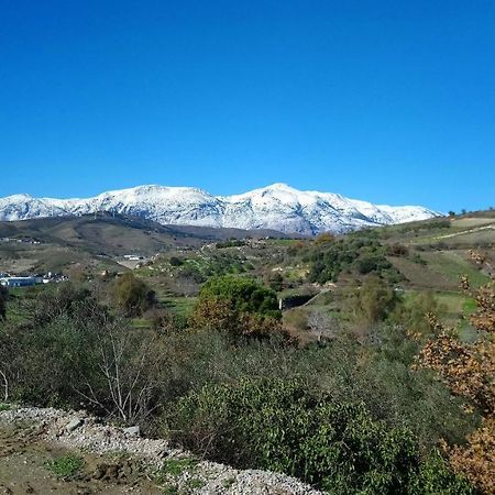 Villa Axenti Agios Thomas  Dış mekan fotoğraf