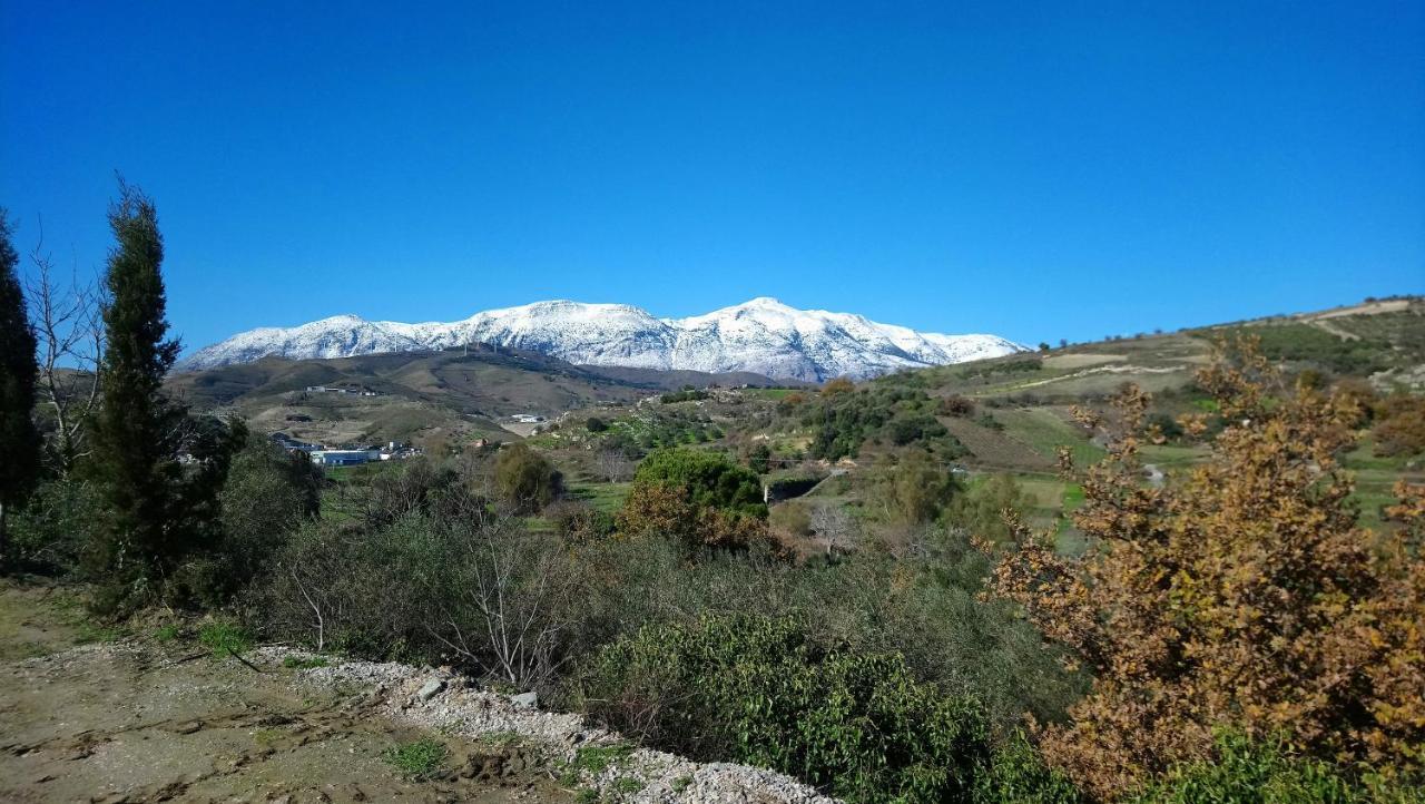 Villa Axenti Agios Thomas  Dış mekan fotoğraf