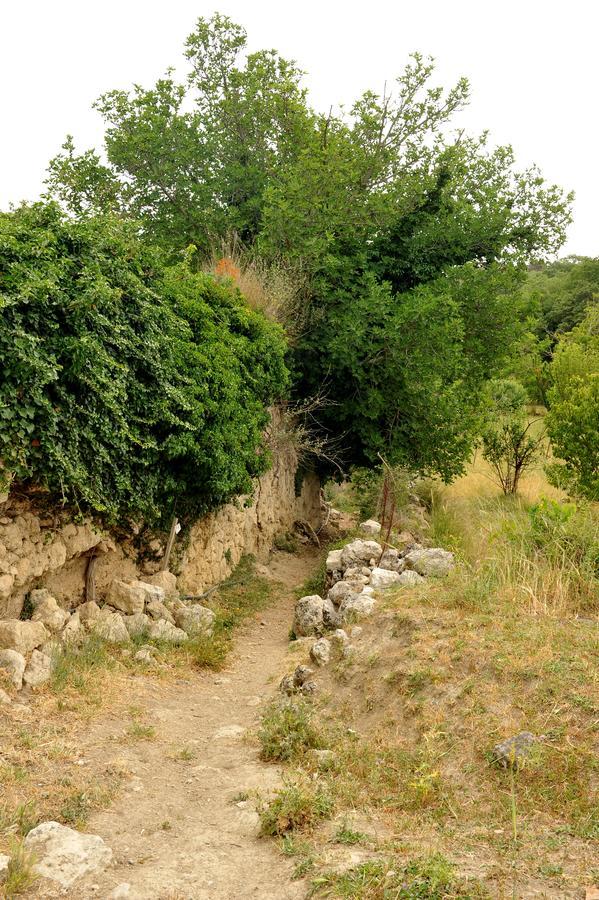 Villa Axenti Agios Thomas  Dış mekan fotoğraf