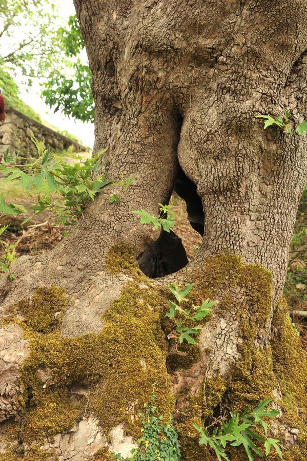 Villa Axenti Agios Thomas  Dış mekan fotoğraf